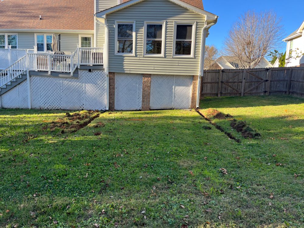 All Photos for Sage Green Lawn Care in Greensboro,  NC