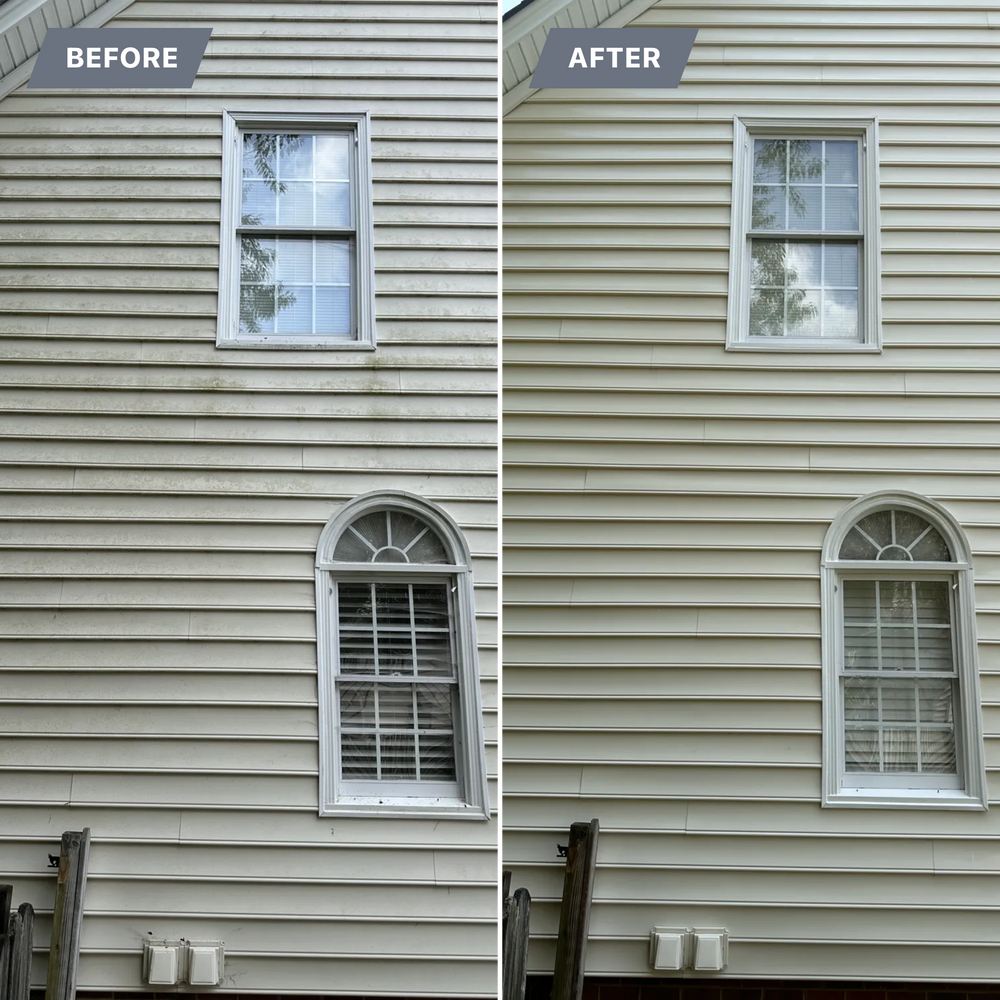 All Photos for LeafTide Solutions in Richmond, VA