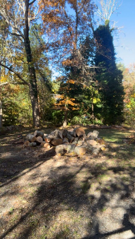 All Photos for Dwights Tree Service LLC in Middleborough, MA