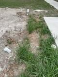 All Photos for Oviedo Land & Garden in Bastrop, TX