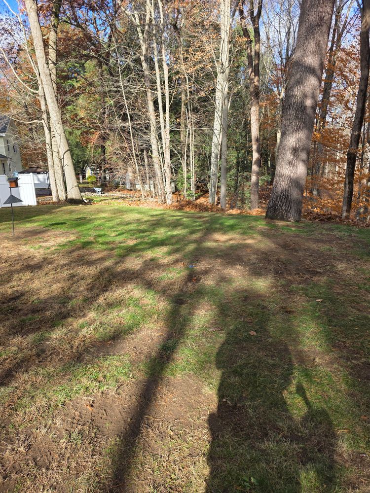 All Photos for Sweet Scapes in Ballston Spa, NY