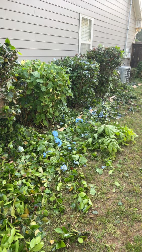 All Photos for WD Lawn Services in Loganville, GA