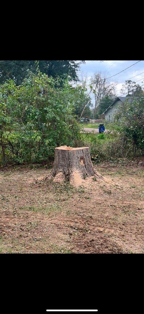 All Photos for Morace Tree Service in Natchez,,  MS