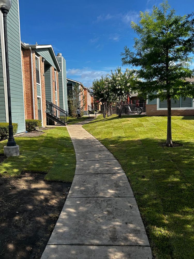 Project #1 2025 for Guerrero's Landscape in Fort Worth,  TX