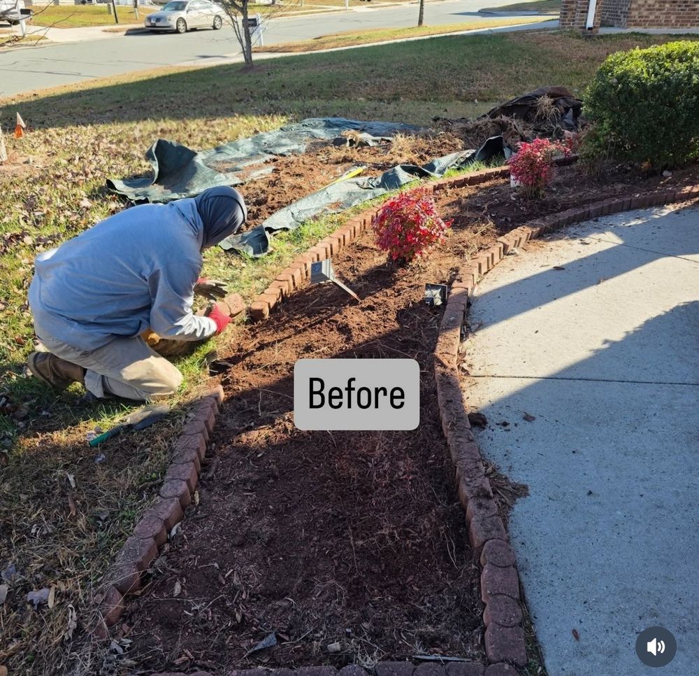 All Photos for Surprising Odyssey in Gibsonville, NC