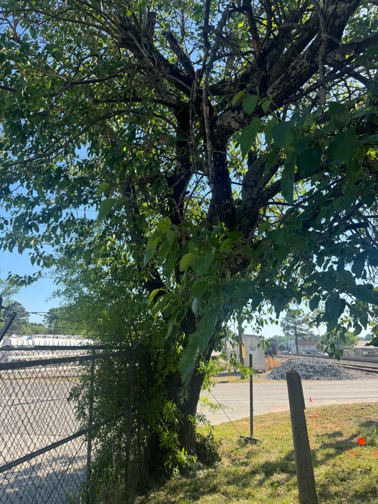 All Photos for Johnson Gutter Cleaning and Construction  in Southern Pines, NC