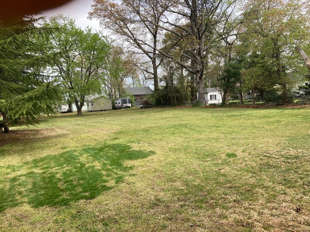 All Photos for Green Horizon Lawncare in North Chesterfield, VA