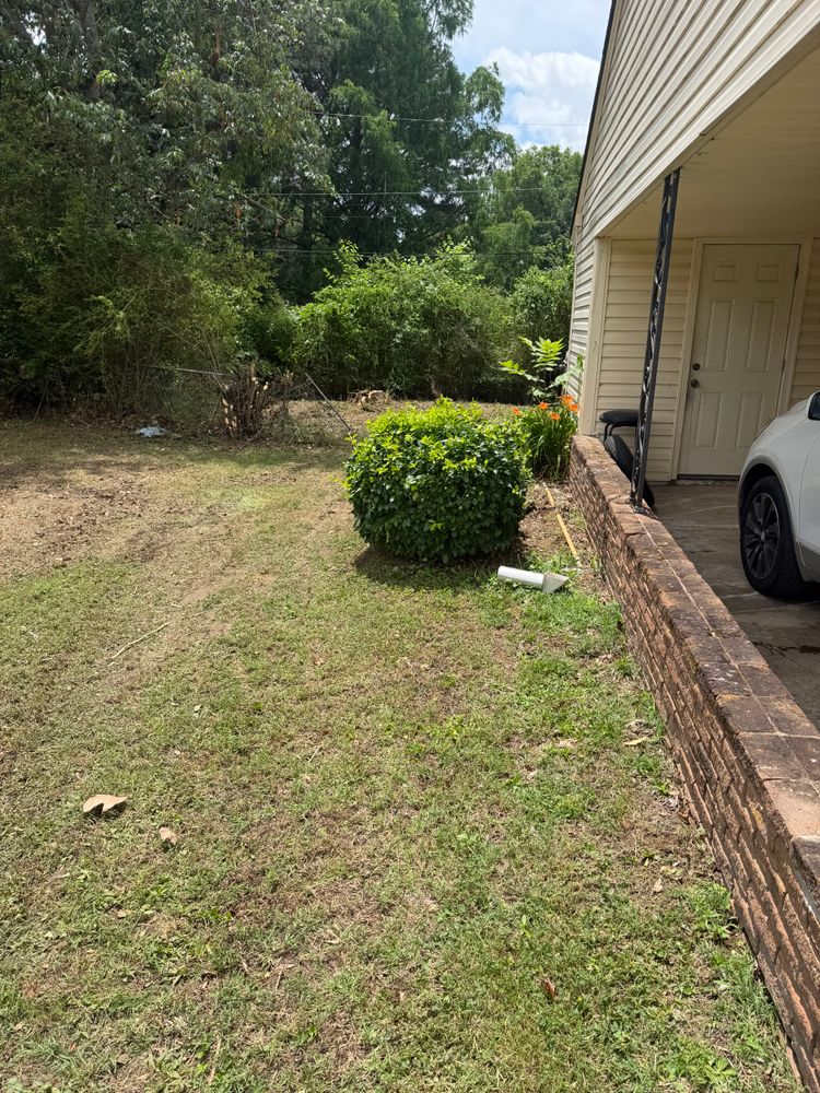 All Photos for Kingdom Landscaping in Memphis, TN