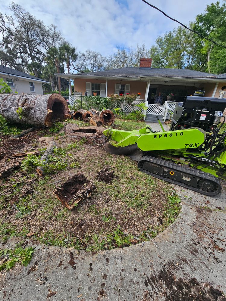 Stump Grinding for Stumps done right LLC in Middleburg, FL