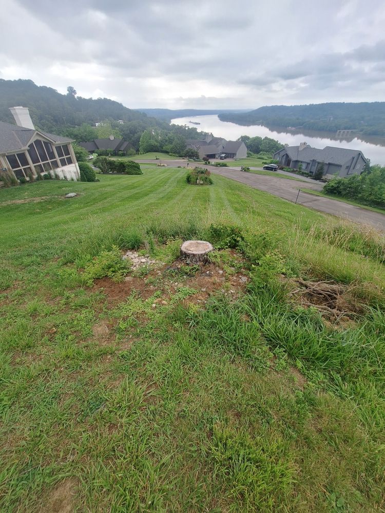 All Photos for Cincinnati’s Finest Landscape Services LLC in Cincinnati, OH