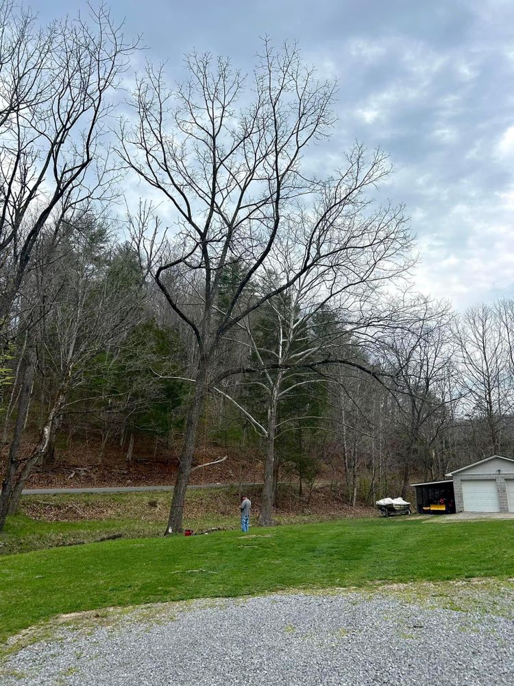 All Photos for NRV Tree Pro, LLC in Narrows, VA