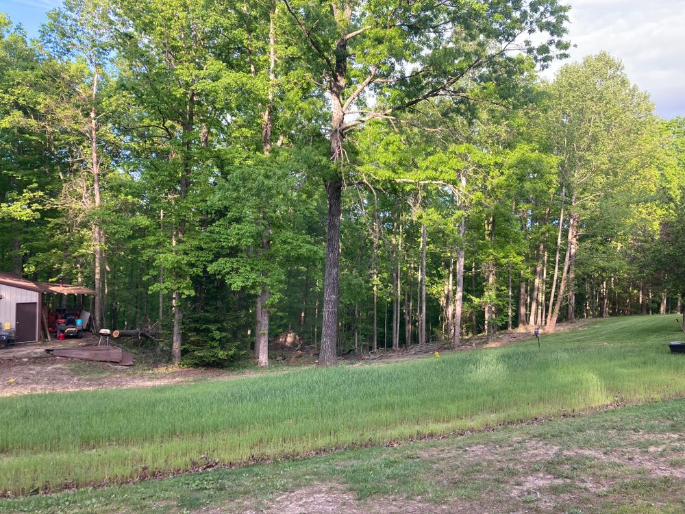 All Photos for Houtz Tree Service in Lexington, KY