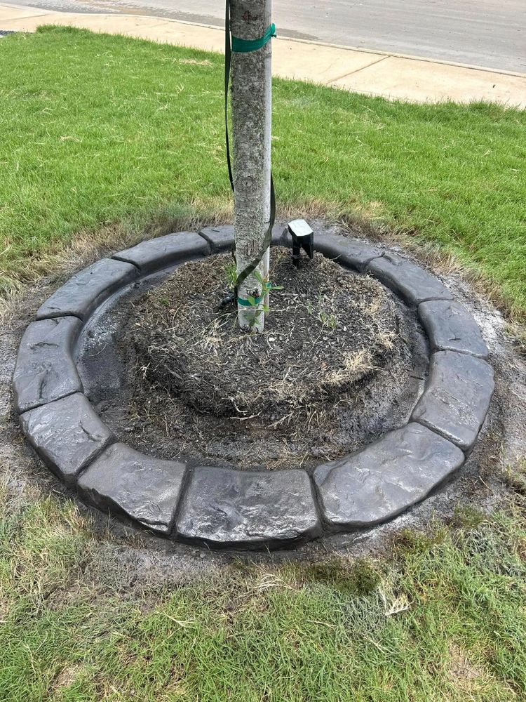 Landscaping for Creative Edge Co. in San Antonio, TX