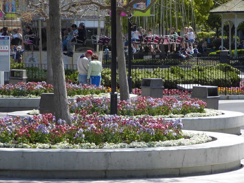 Themed Horticultural Designs for Martin Stanko Landscape Construction in Livermore, CA