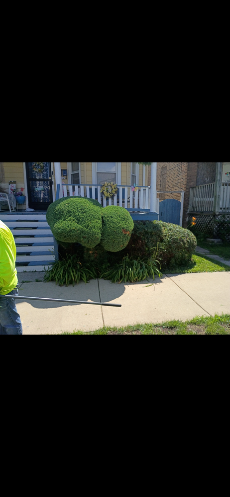 All Photos for Superior Lawn Care & Snow Removal LLC  in Chicago, IL