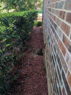 All Photos for Toppers Wildlife Removal in Garland, TX