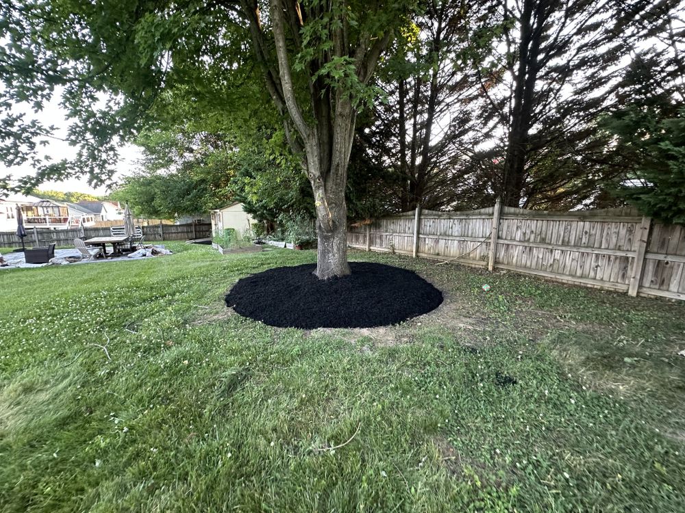 All Photos for A Better Lawn Service LLC in Bel Air, MD