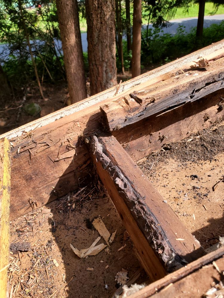 All Photos for Home Pros in Maple Falls, WA