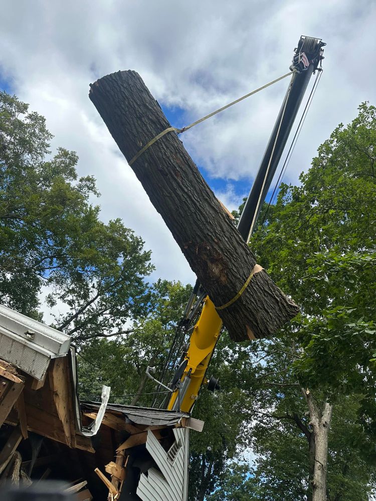 Tree Removal for DGD Outdoor Services LLC in Howell, MI
