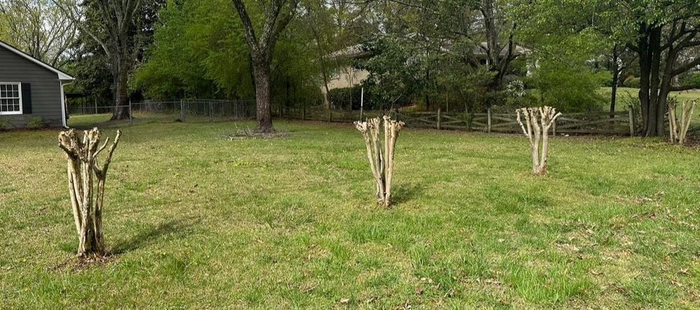 Our professional mowing service ensures your lawn stays beautifully manicured, enhancing curb appeal while promoting healthy grass growth with precision cutting and timely maintenance tailored to your landscape's unique needs. for Brumblebee's Landscaping & Cleaning Services in Loganville, GA