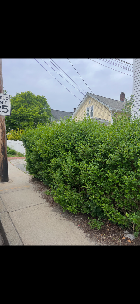 All Photos for Kingston Lawn Care in Warren, RI