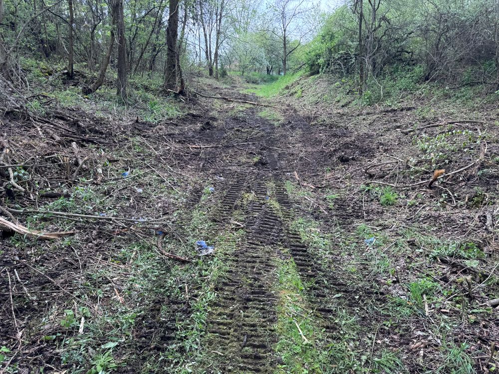 Brush Hog Services for Steed's Lawn and Landscape LLC in White Lake, MI