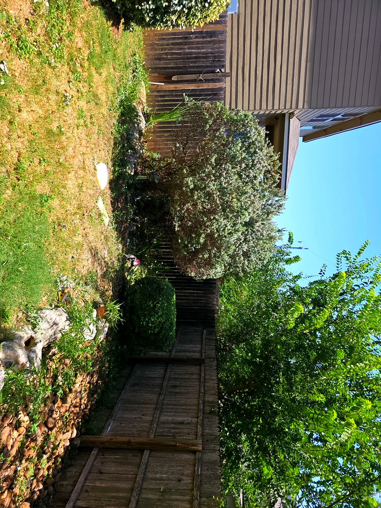 All Photos for Miller Mowing and Maintenance in San Antonio, TX