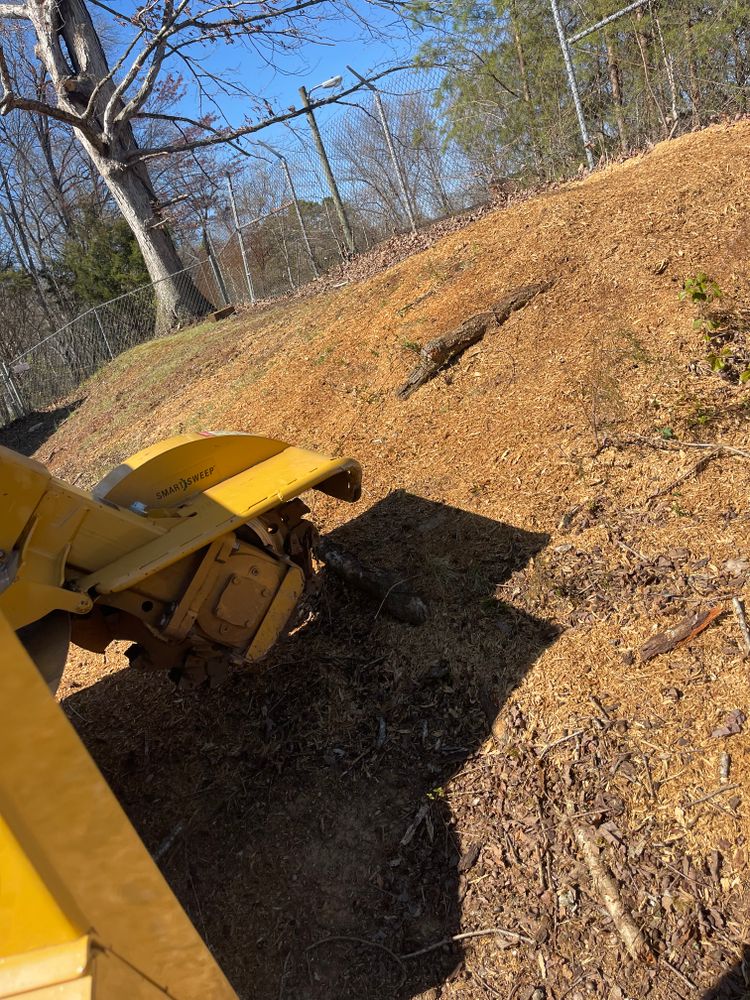All Photos for Lucky’s Tree Removal and Landscape Services in Knoxville, TN