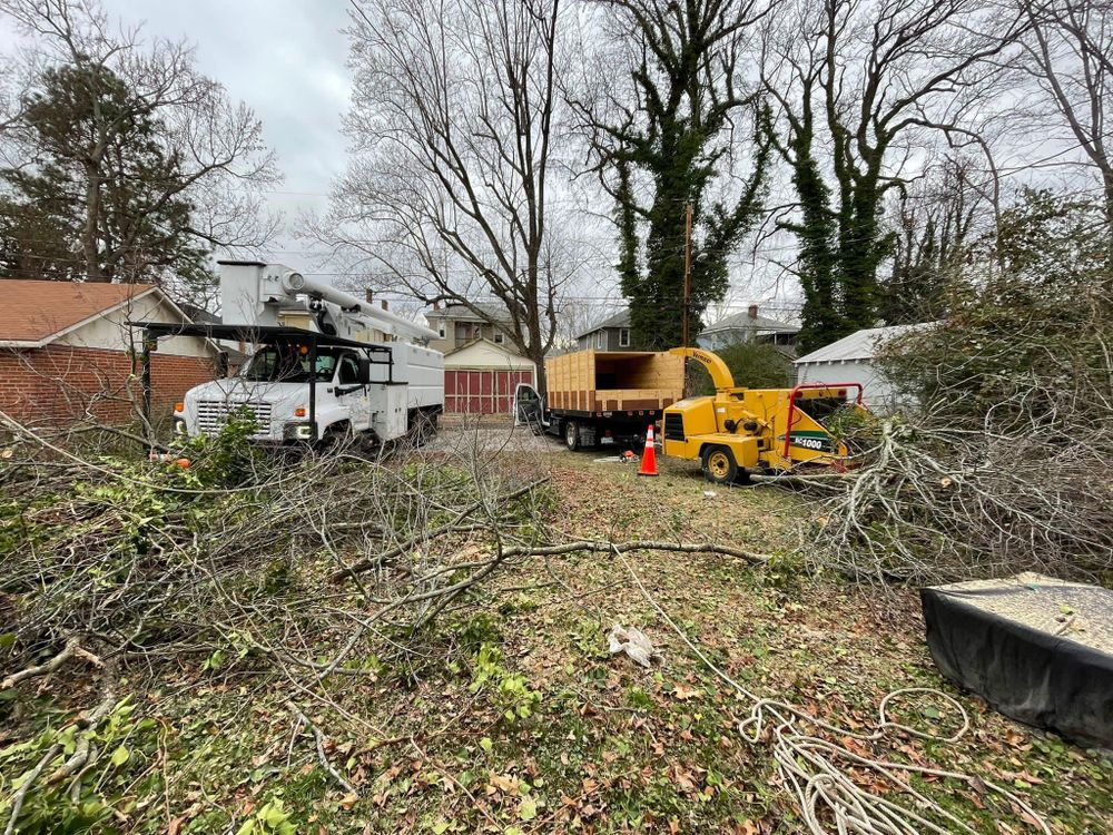 Tree Removal for Lux Arbor Tree Services in Harrisonburg, VA