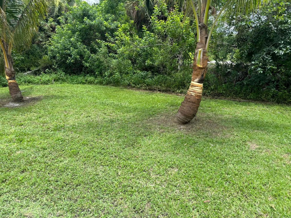 Mowing for Madissons Green in West Palm Beach ,   FL