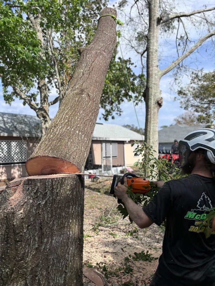 All Photos for McGraw’s Lawn and Tree Service in DeLand, FL