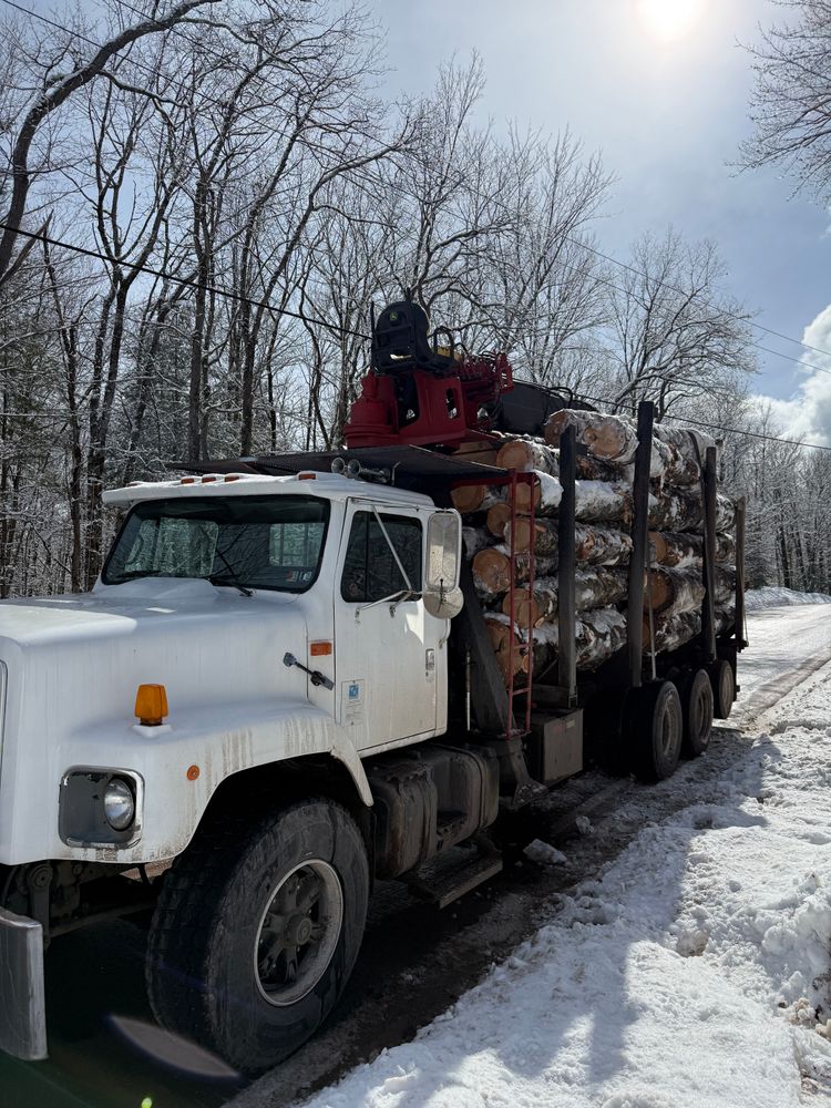 Timber Sales for Lovenguth Logging and Tree Service in West Monroe, NY