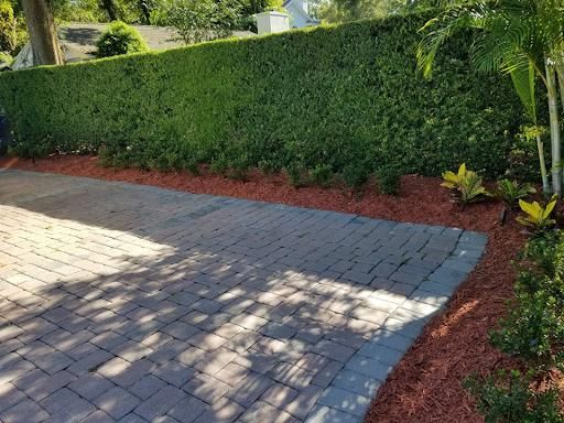 All Photos for Sam's French Drains and Landscape in Orlando, Florida