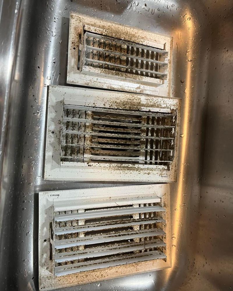 All Photos for Honey Do Oxford Pressure Washing and Soft Washing in Oxford, Mississippi