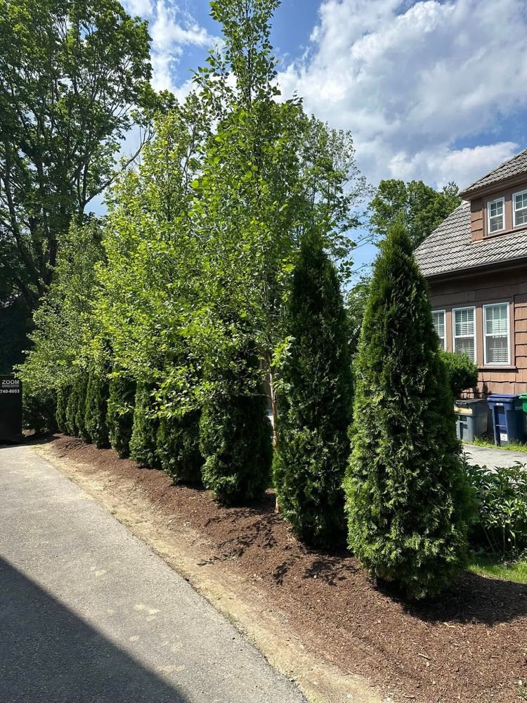 Transform your outdoor space with our expert Landscape Design service, creating beautiful, functional environments that enhance your home's aesthetics and value through personalized plans tailored to meet your unique needs. for Saavedra & Sons Landscaping in Waltham, MA