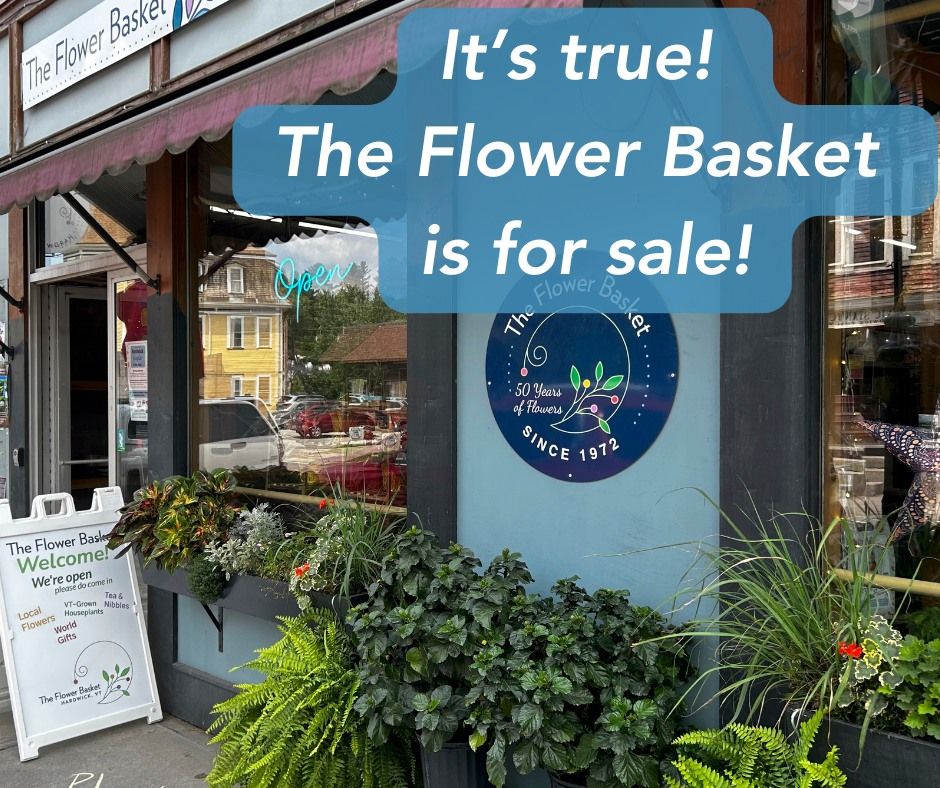 All Photos for The Dailey Daisy in Hardwick, VT