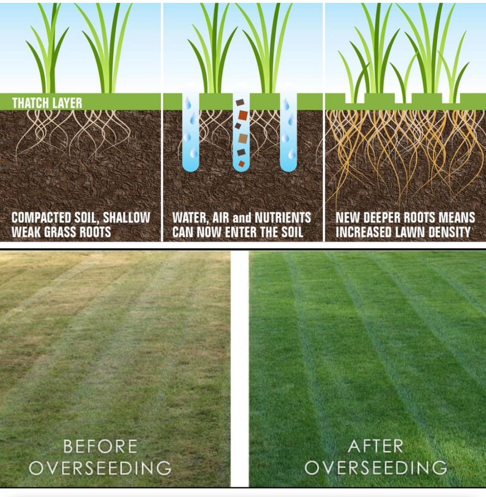 All Photos for Bryant Property Solutions in Altoona, PA