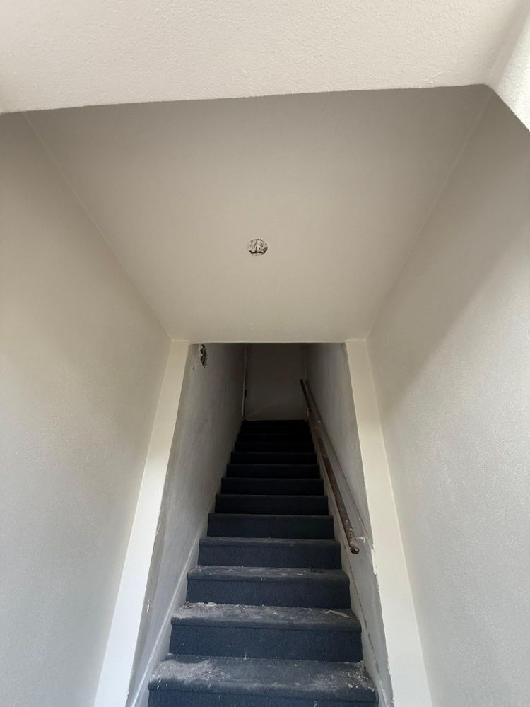 All Photos for Escorpio Painting in Tampa, FL