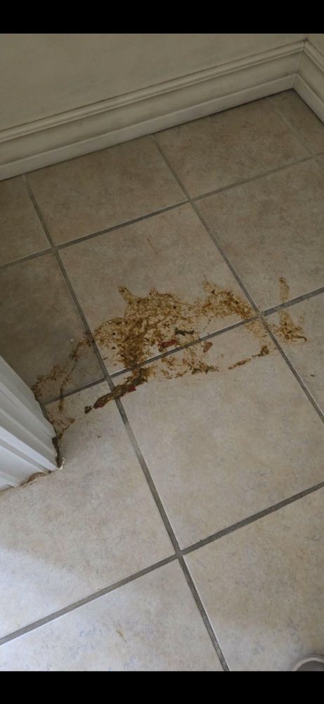 All Photos for A+ Cleaning and Services LLC in Deep Creek Lake, MD 