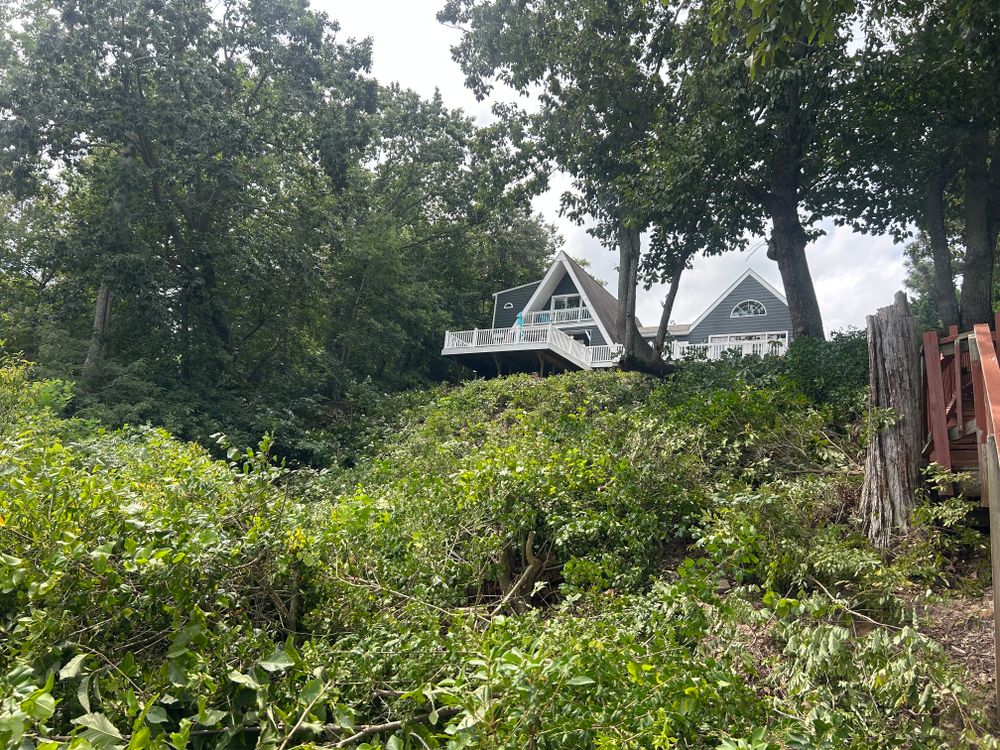 All Photos for The Whole 9 Yards Landscape VA in Heathsville, VA