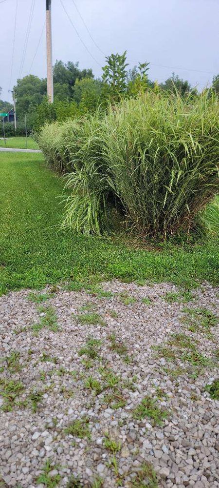 All Photos for Stafford.Works in Brownsburg, IN