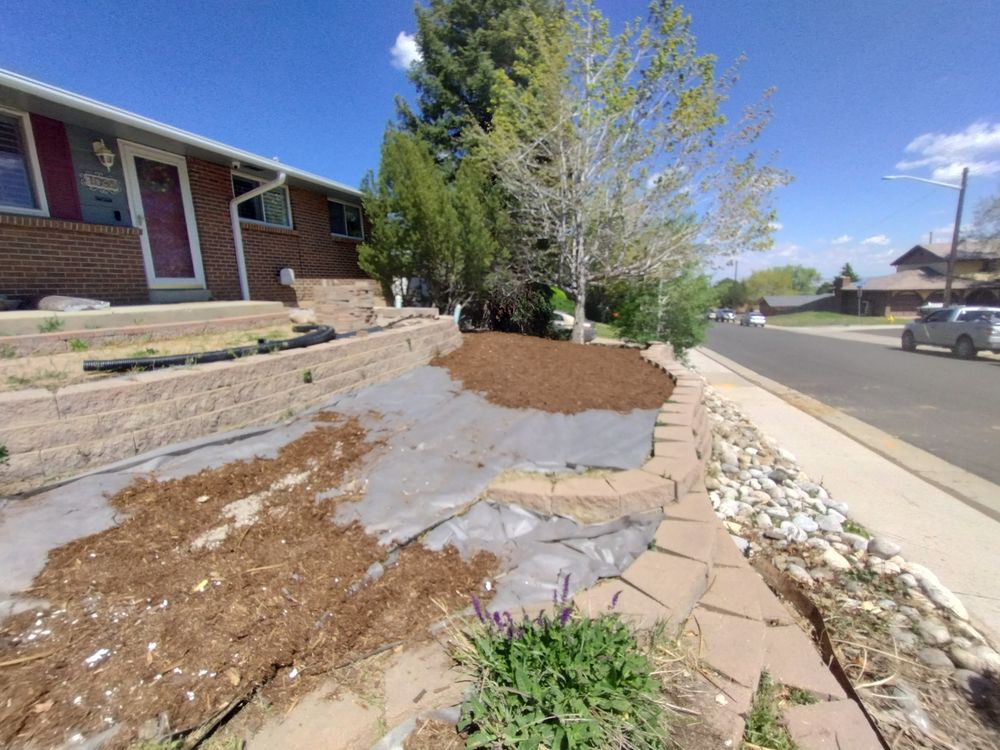 All Photos for Berry Handy Services in Loveland, CO