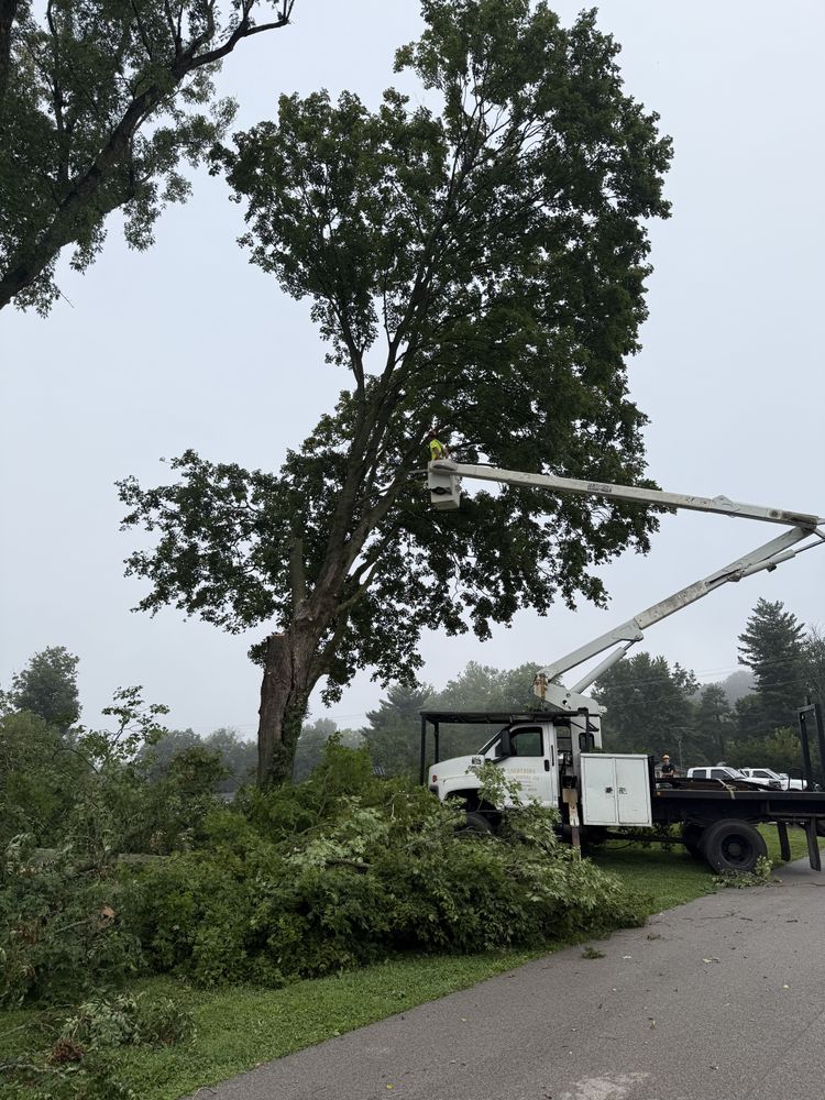 All Photos for Lightning Tree Service in Corydon, IN