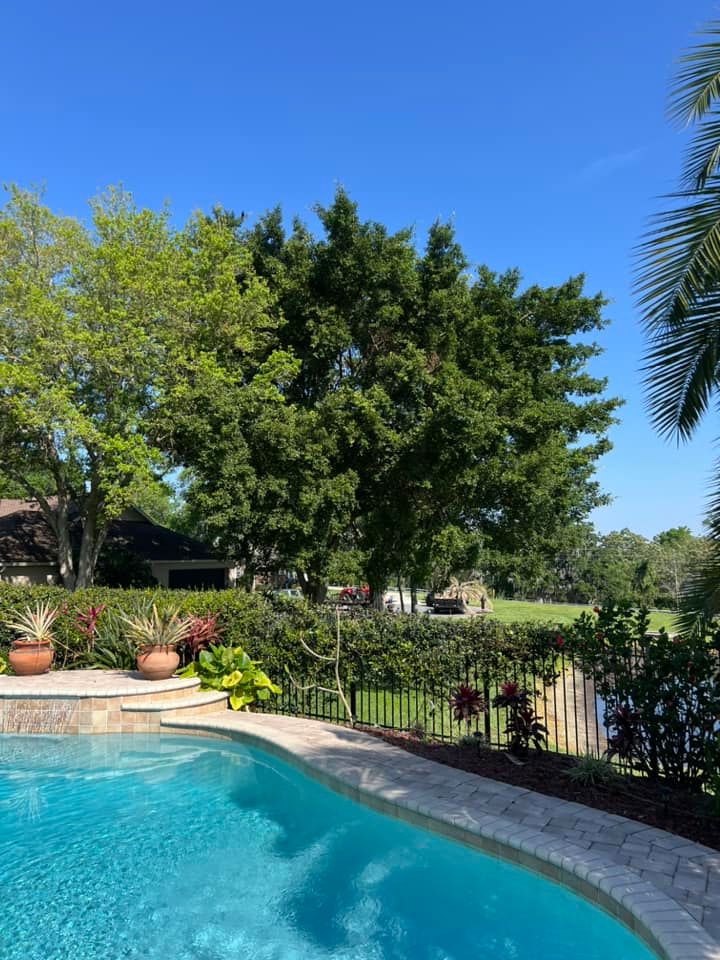 Our Tree Trimming & Removal service includes removing branches, limbs, and entire trees to improve safety, aesthetics, and overall property value. Trust our experienced team for efficient and professional results. for Vaughn’s Outdoor Services  in Orlando, FL