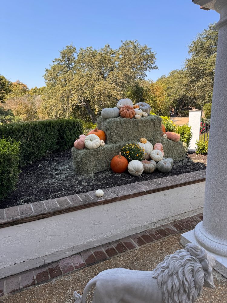 Fall Decorations  for Espinoza Landscape & Construction  in San Antonio, TX