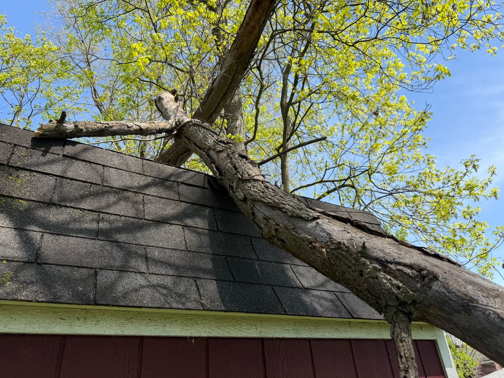 All Photos for Fowler's Tree Service LLC. in New Albany, PA