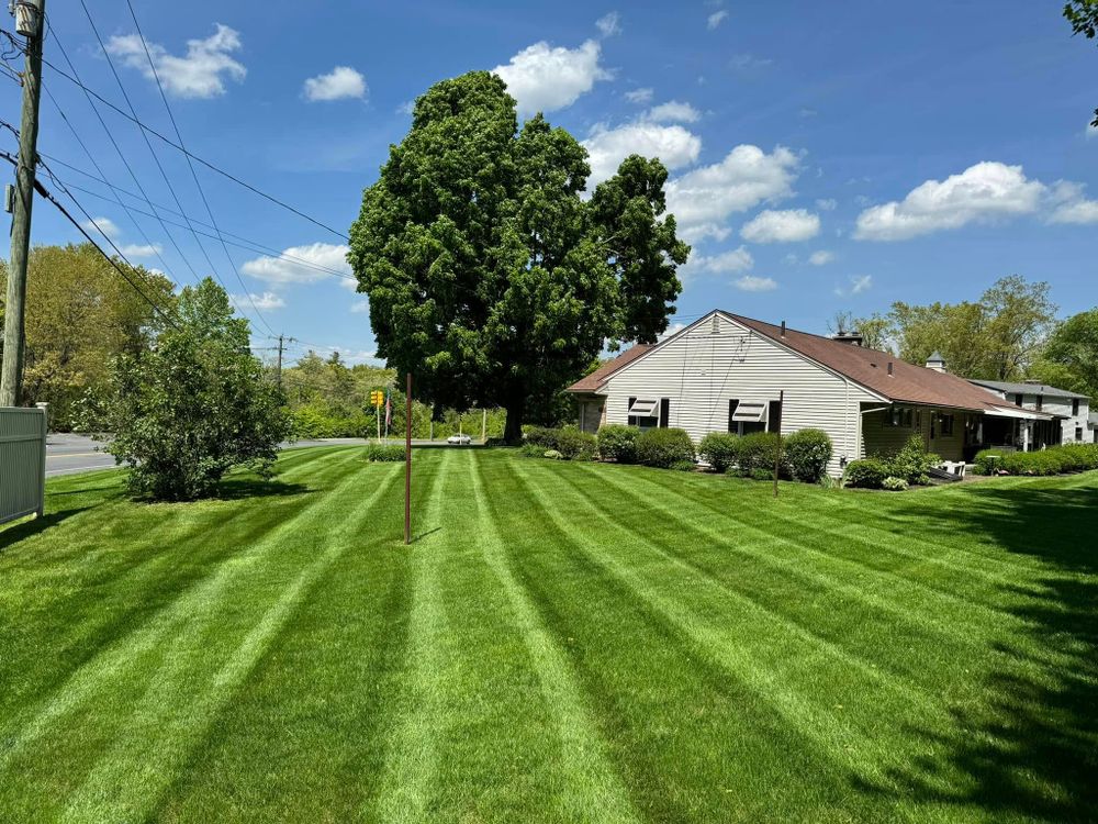 All Photos for Adams Landscaping in Springfield, MA
