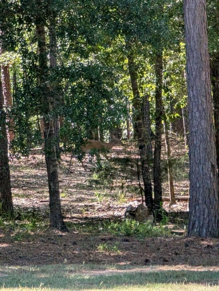 All Photos for Sowega Conditioned Air in Bainbridge, GA