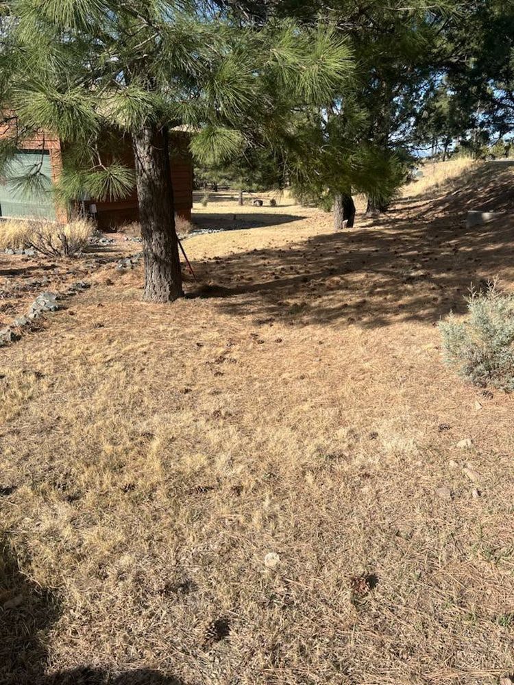 All Photos for G&B Yard Service in Ruidoso Downs, NM