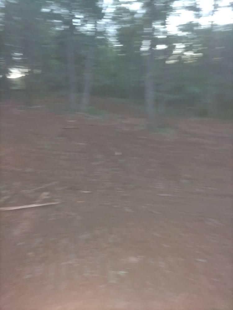 All Photos for King of Dirt in Cornersville, TN